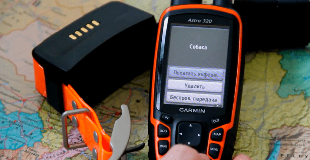 сведения выбранной собаки ошейник гармин 320