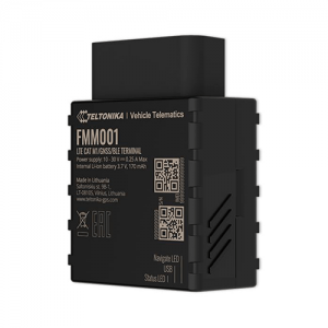 Teltonika FMM001