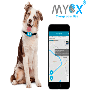 Ошейник для кошек и собак MYOX MPT-03