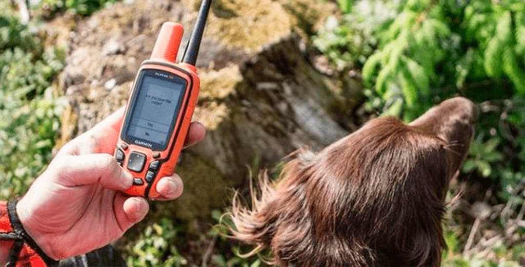 Garmin Alpha 50 отправляем собаку на охоту