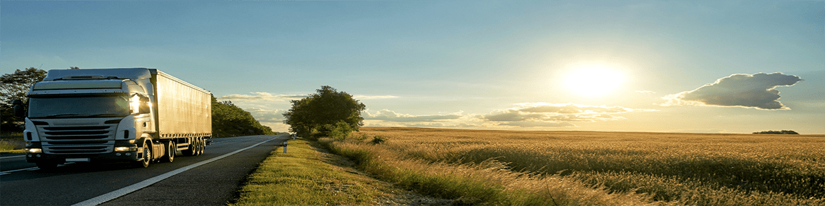 GPS мониторинг автопарка