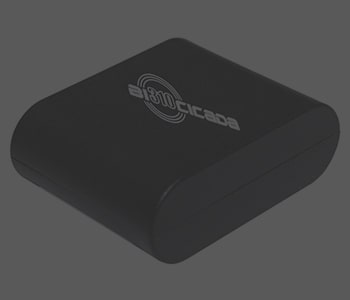 GPS маяк BI 310 CICADA