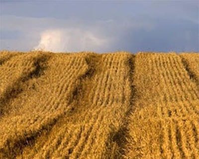 Система измерения полей